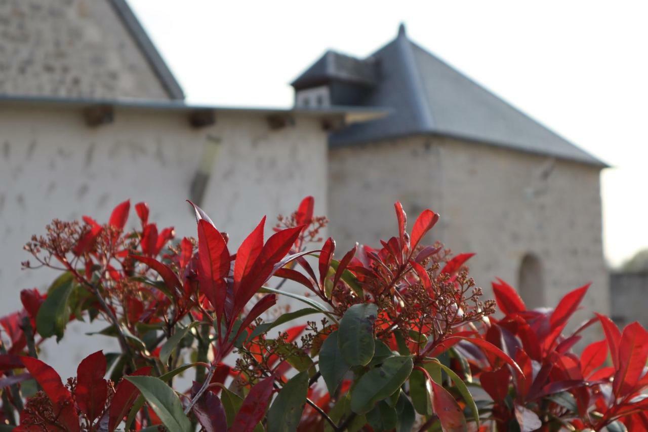 Gites De Saint Remy Villers-Cotterêts Exterior foto